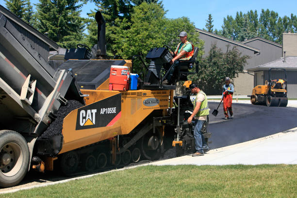 Best Driveway Repair Near Me  in Dortches, NC